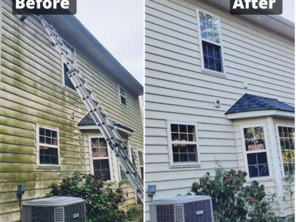 113acadd2b0b74745fdfd17775526256